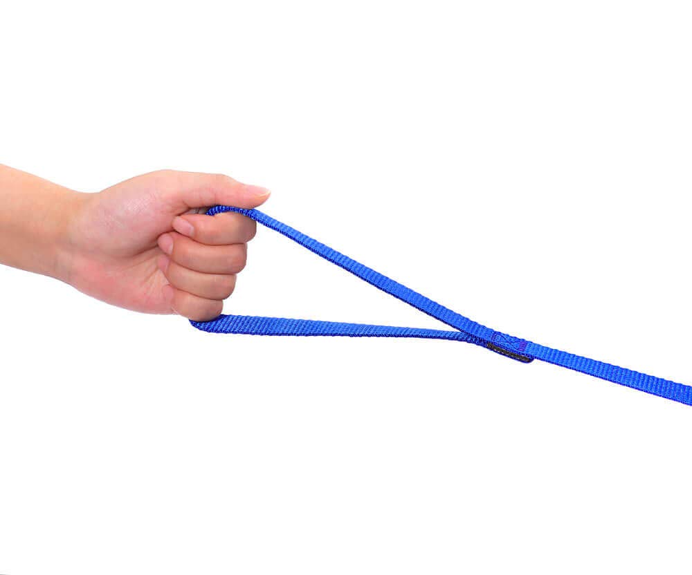 AmaGood correa de seguridad para paseos, promueve juego y protección al perro.