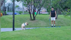 AMAGOOD correa larga para 50 pies, perfecta para excursiones al aire libre
