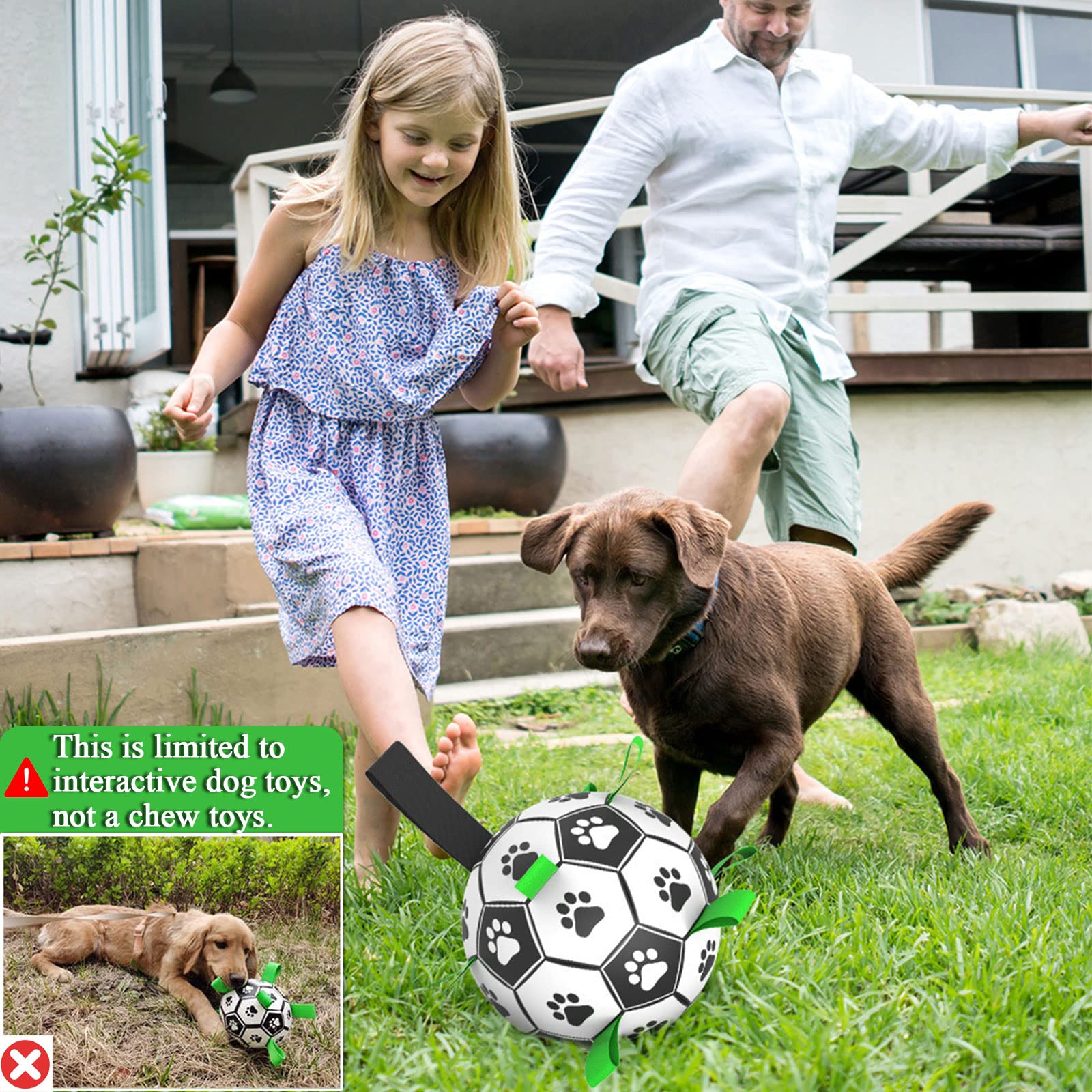 Regalo ideal de Amasiver para perros, combate el aburrimiento con juego.