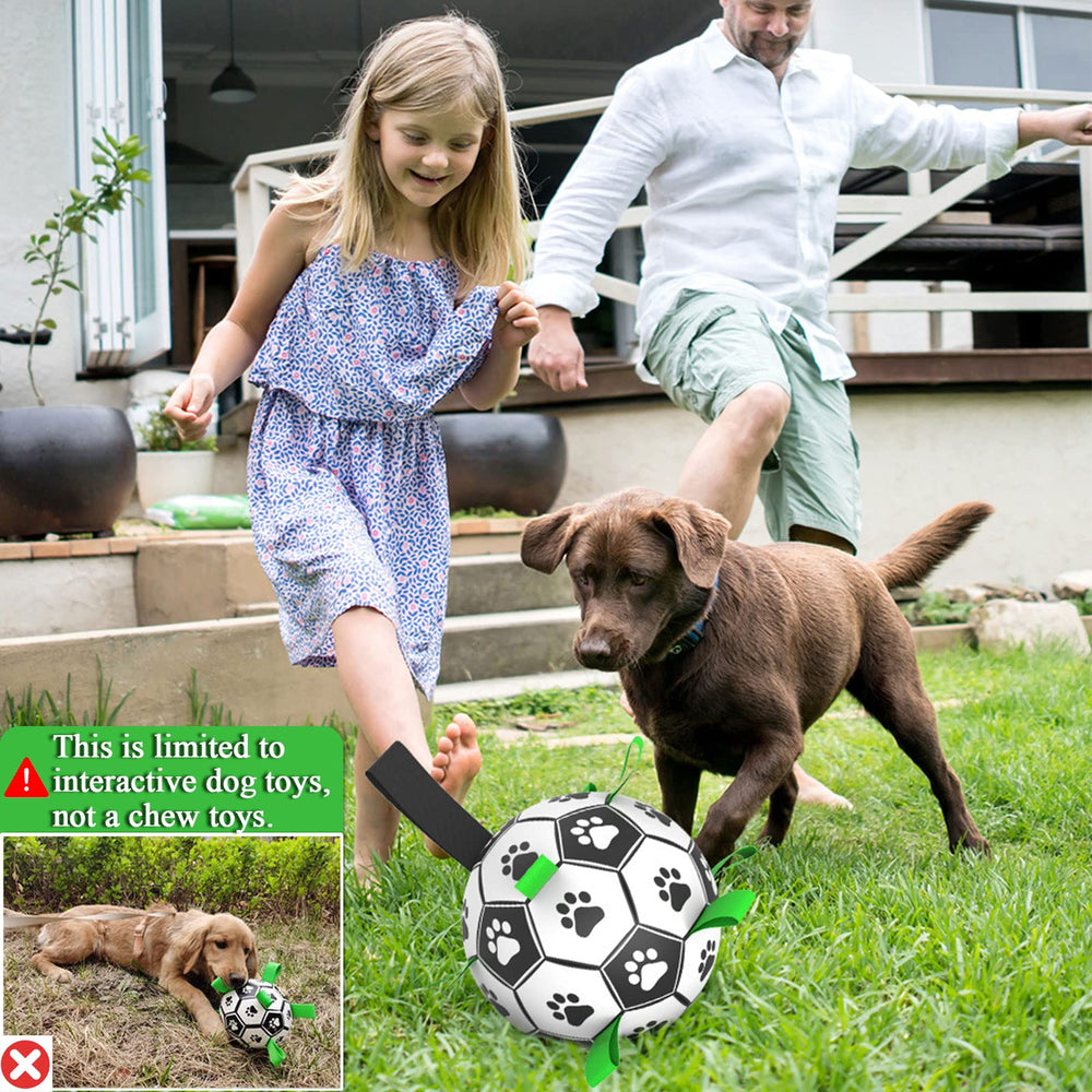 Regalo ideal de Amasiver para perros, combate el aburrimiento con juego.