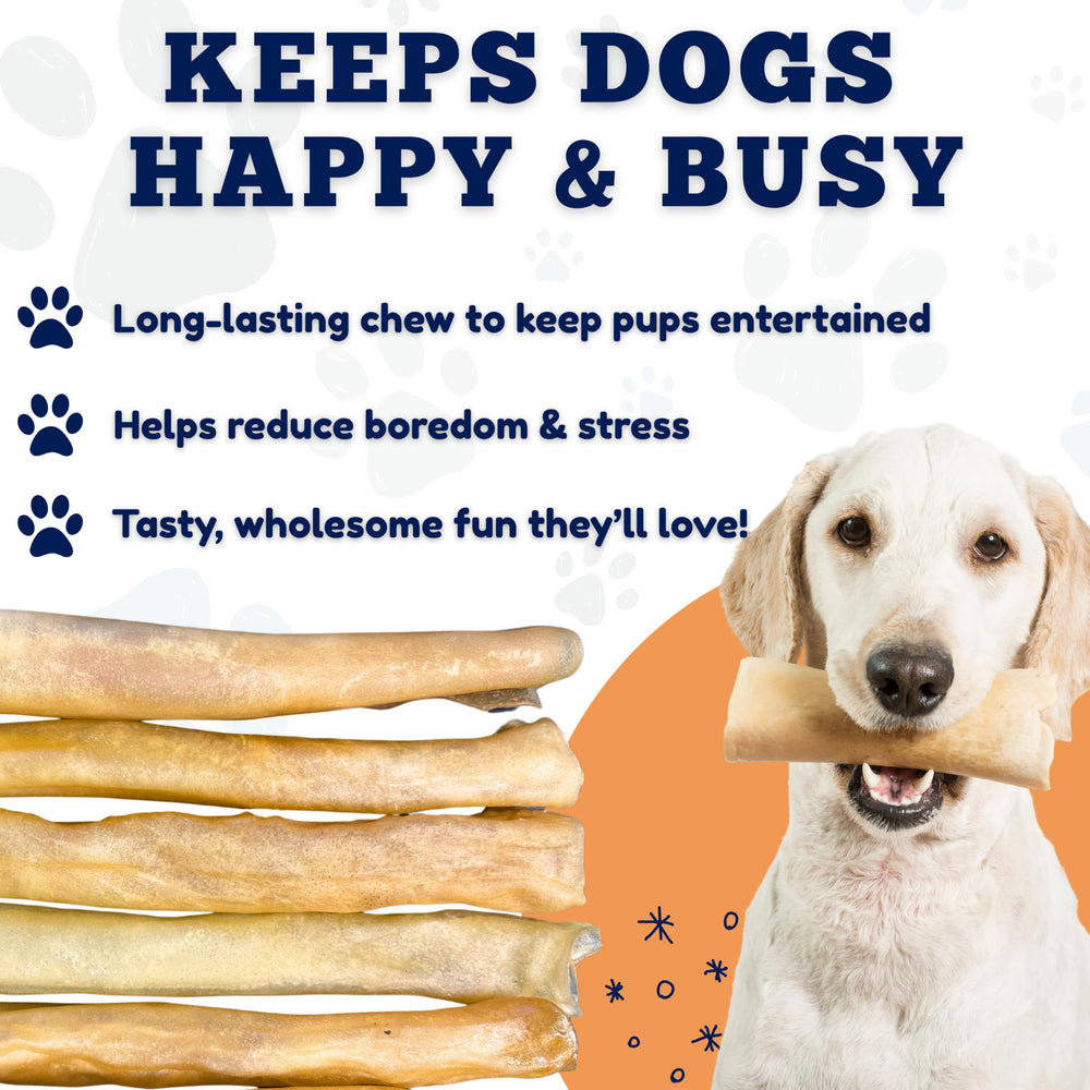 Salud dental con la barra de colágeno de Amazing Dog Treats.