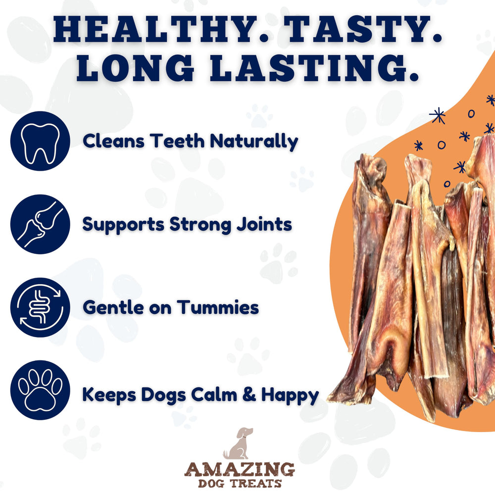 Amazing Dog Treats perro disfrutando mientras cuida la salud dental.