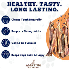 Amazing Dog Treats perro disfrutando mientras cuida la salud dental.