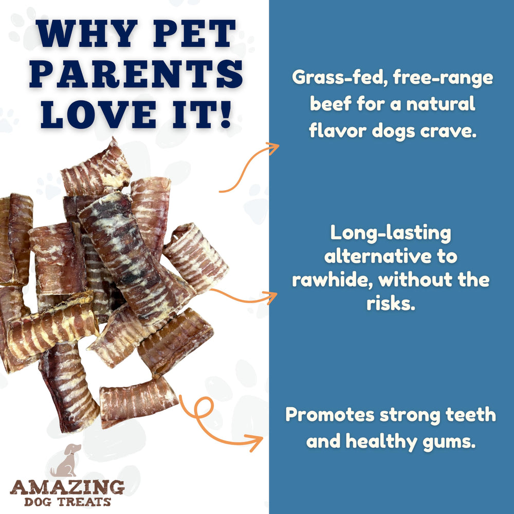 Amazing Dog Treats: cuidado dental con trachea de res para encias y dientes