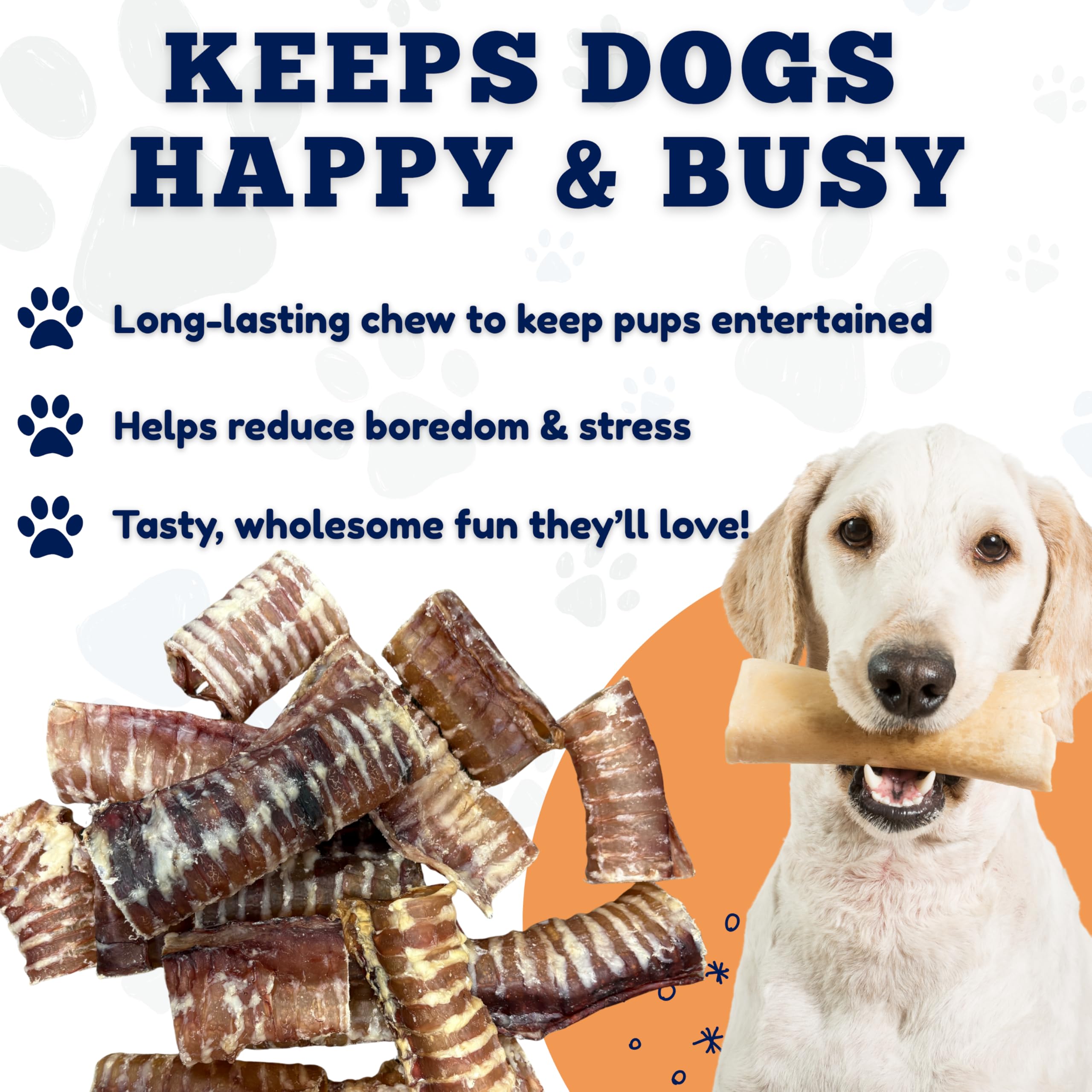 Amazing Dog Treats: empaque de 50 unidades ideal para entrenamiento