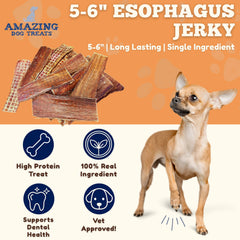 Amazing Dog Treats masticables en pack de 25 para perros activos y felices.