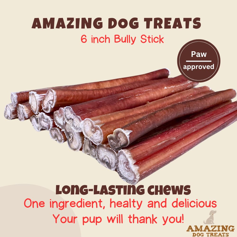 Amazing Dog Treats hueso bully mediano, textura firme para masticación constante.