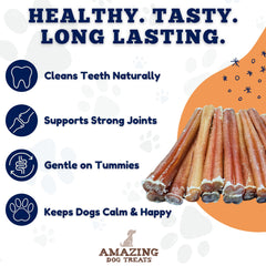 Amazing Dog Treats: ingrediente único, opción natural