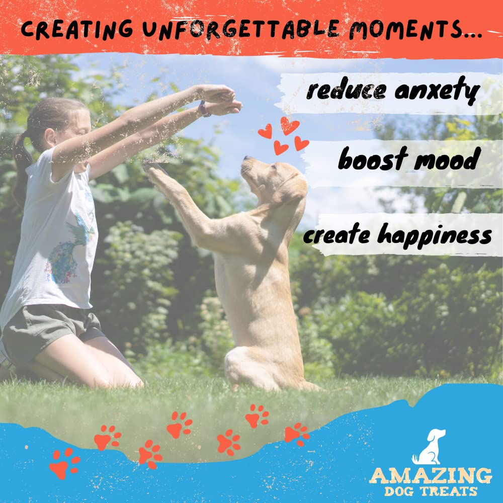 Amazing Dog Treats juego y entrenamiento diario, snack práctico.