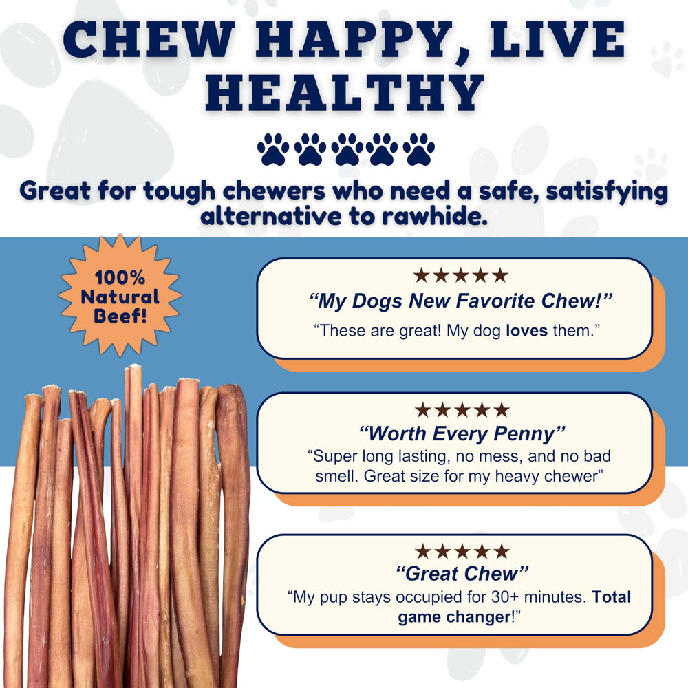 Amazing Dog Treats: palito de tamaño medio para razas medianas durante la masticación