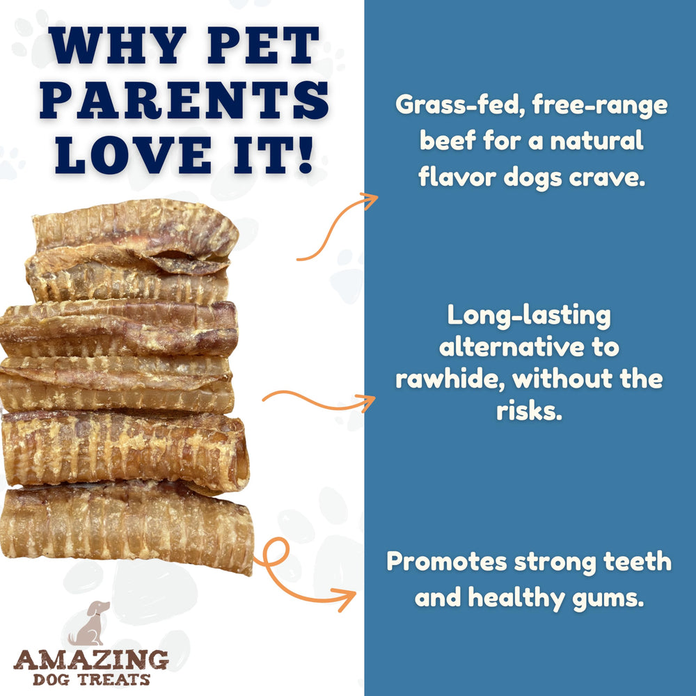 Amazing Dog Treats paquete de 8 onzas con 5 piezas, premio sano para perros activos.
