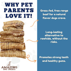 Amazing Dog Treats paquete de 8 onzas con 5 piezas, premio sano para perros activos.