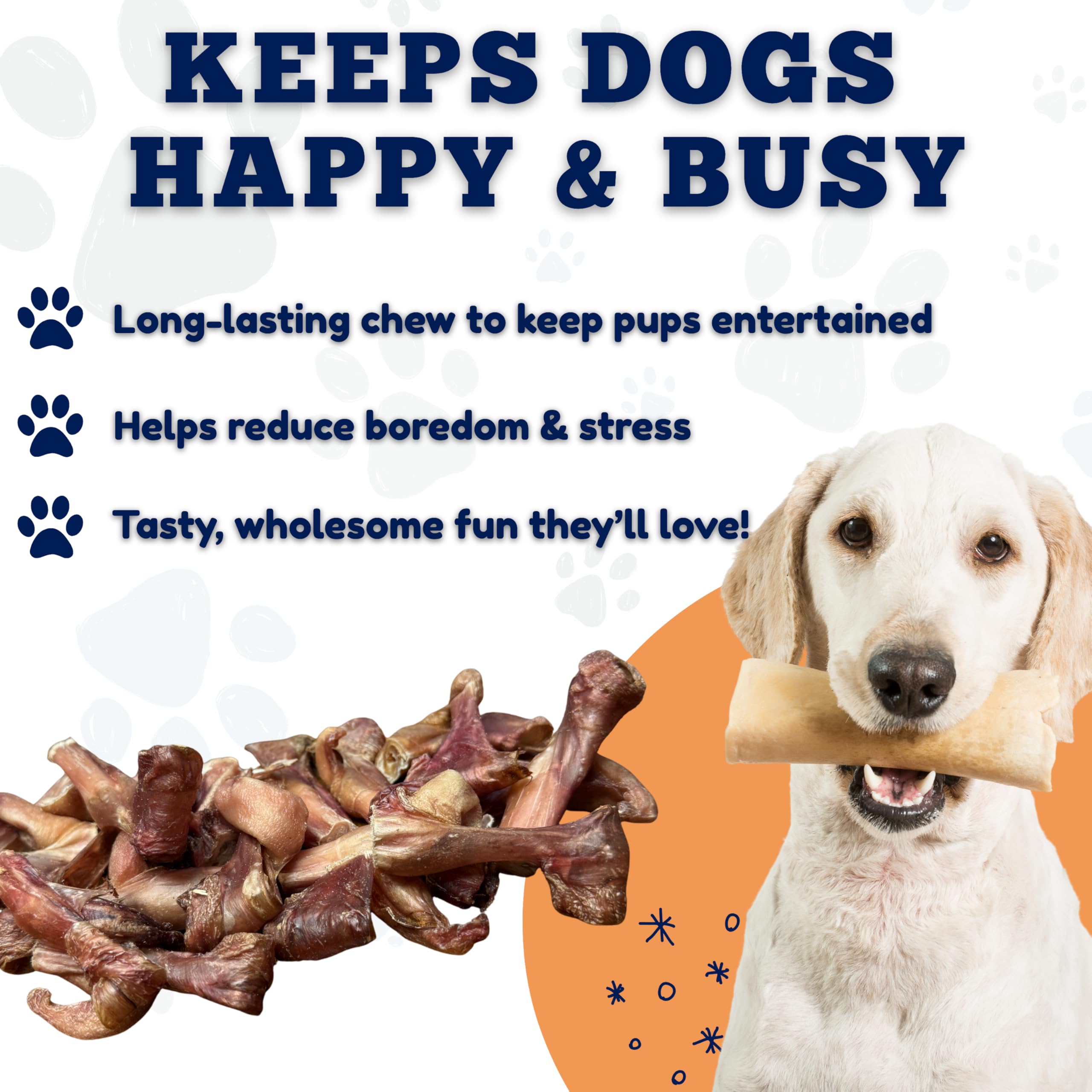 Amazing Dog Treats: recompensa de entrenamiento, fáciles de llevar.