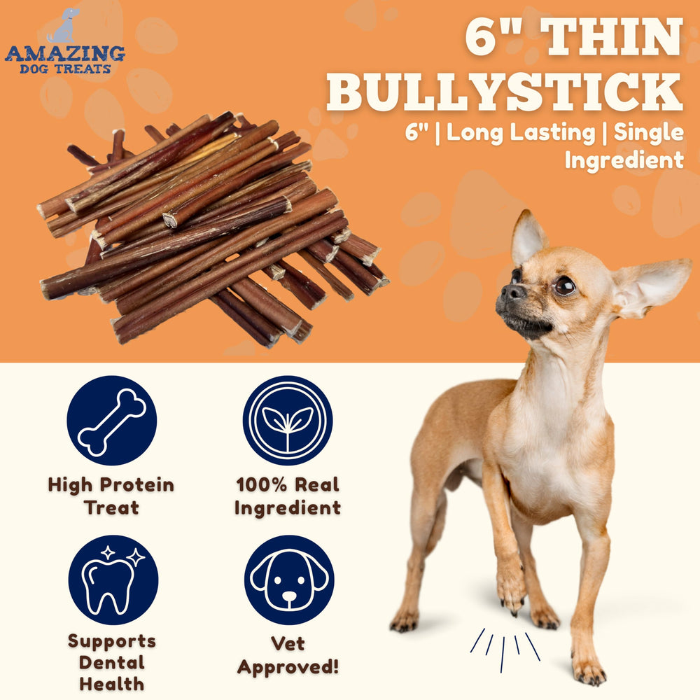 Amazing Dog Treats: perro pequeño masticando un palito