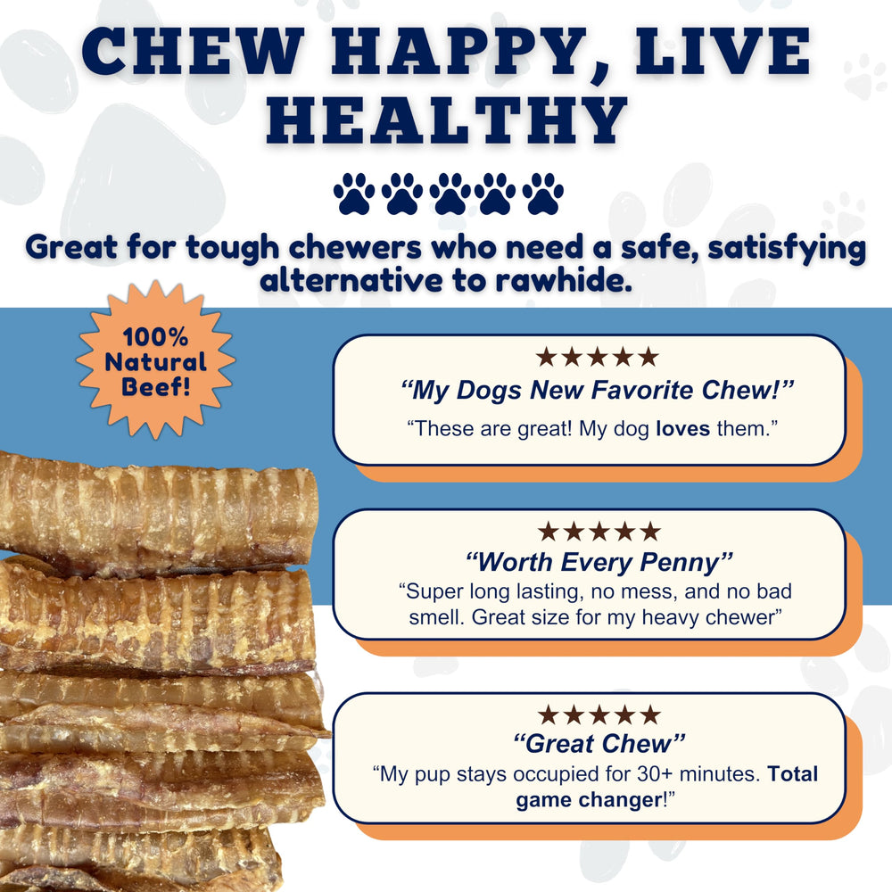 Amazing Dog Treats recompensa diaria para entrenamiento, con glucosamina y condroitina.