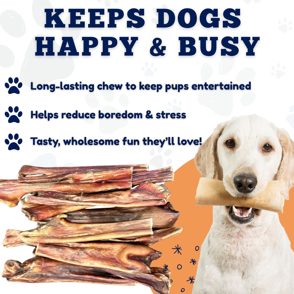Amazing Dog Treats recompensa duradera, ideal para entrenamiento y comportamiento