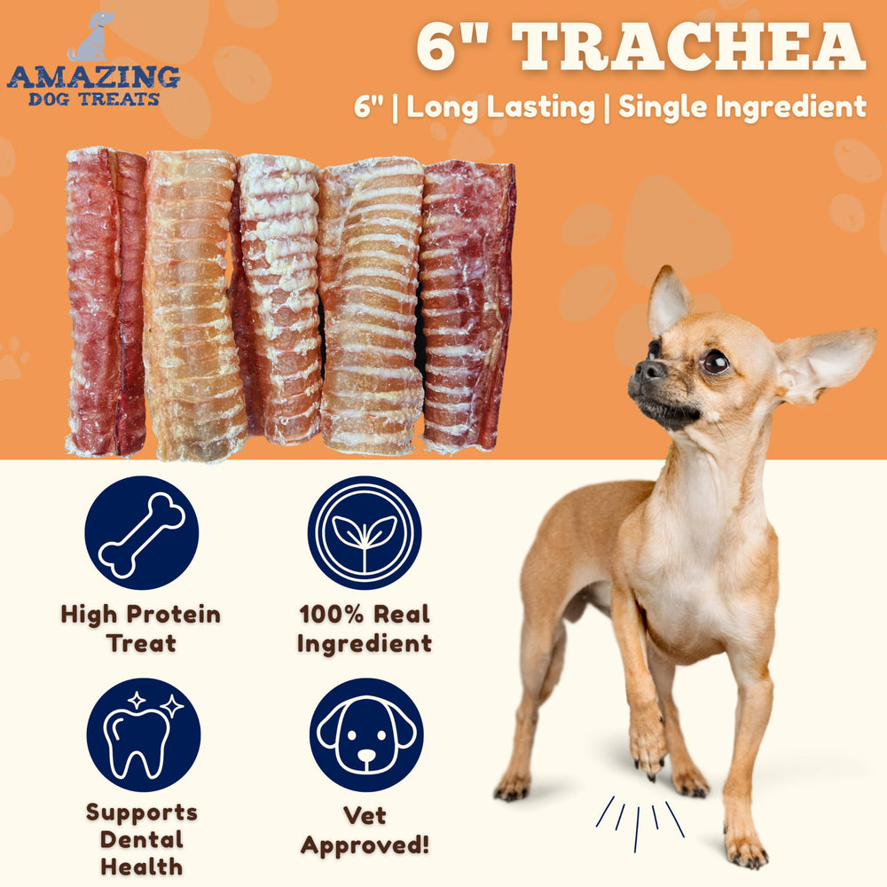 Amazing Dog Treats tráquea de res, textura natural sin aditivos para premiar.