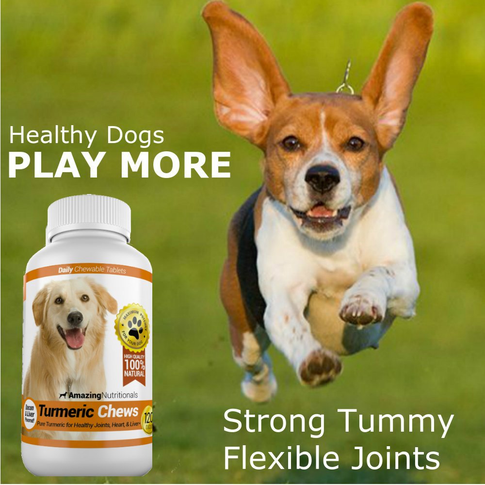 Dosificación clara para Amazing Nutritionals curcuma en perros, fácil de ajustar
