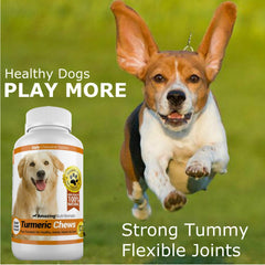 Dosificación clara para Amazing Nutritionals curcuma en perros, fácil de ajustar