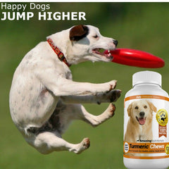 Amazing Nutritionals frasco de curcuma para perros, masticables fáciles de usar