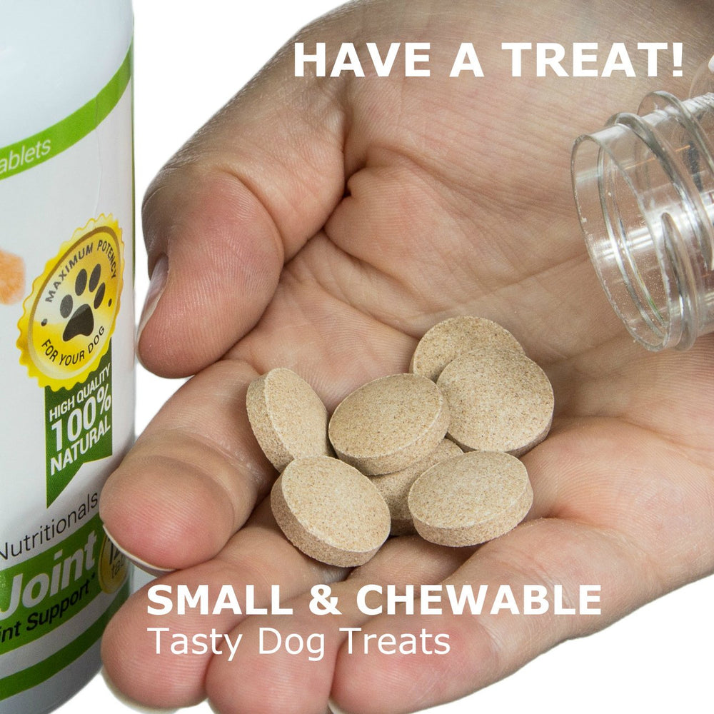 Amazing Nutritionals Probiotics para perros, apoyo inmune para mascotas.