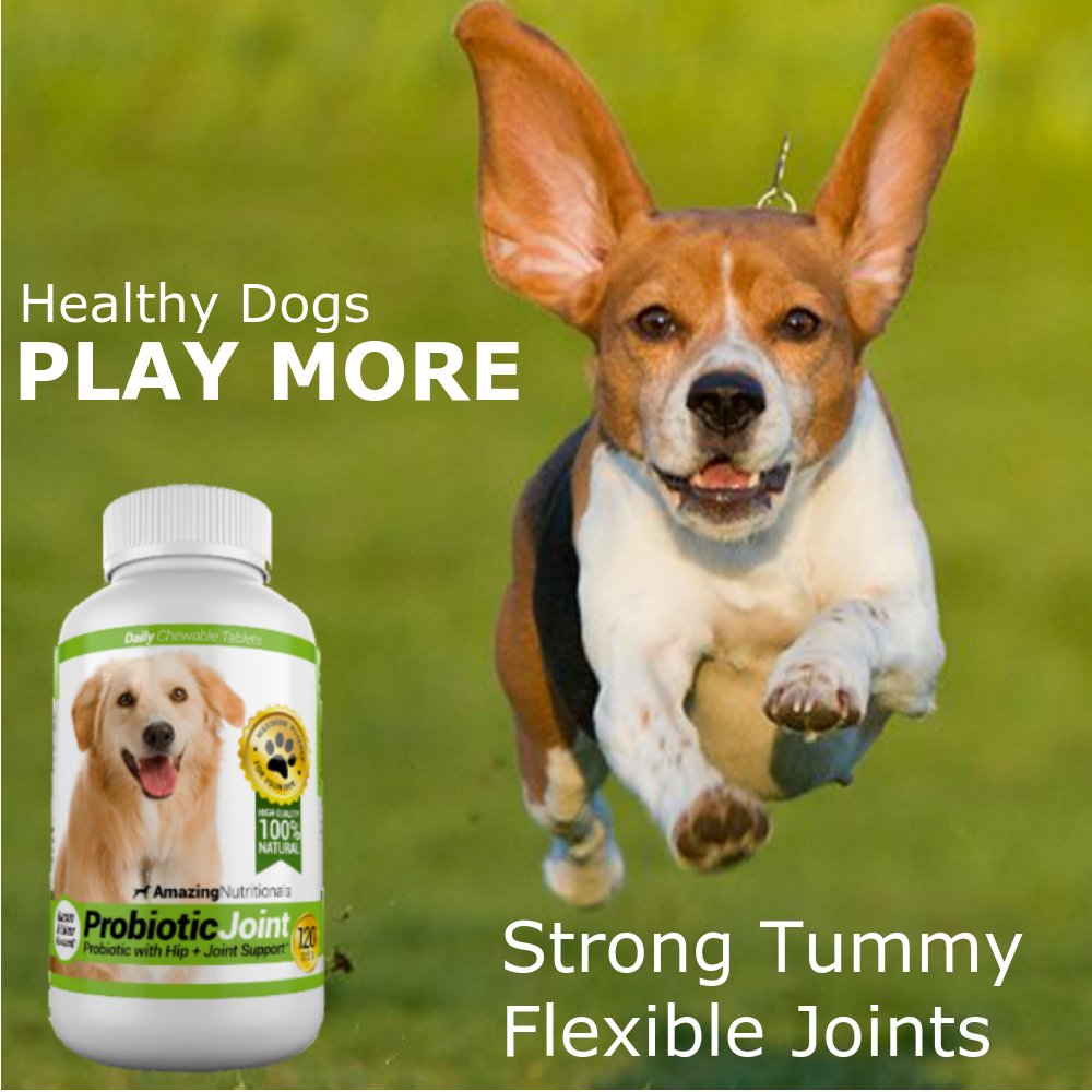 Amazing Nutritionals Probiotics para perros, articulaciones sanas gracias a glucosamina.