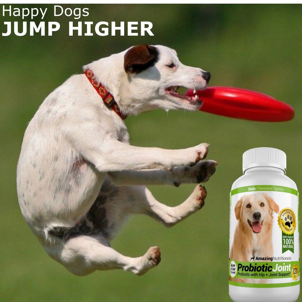 Probiotics Amazing Nutritionals para perros, digestión saludable y bienestar.