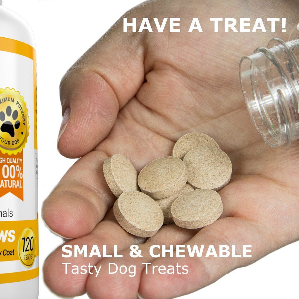 Amazing Omega 3 para perros, reducción de la caída del pelo visible tras usarla.