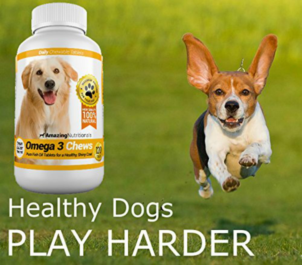 Amazing Omega 3 para perros, pelo más brillante y suave tras cada masticable.