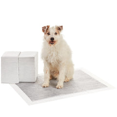 Almohadilla para perros Amazon Basics XL con control de olor para uso diario.