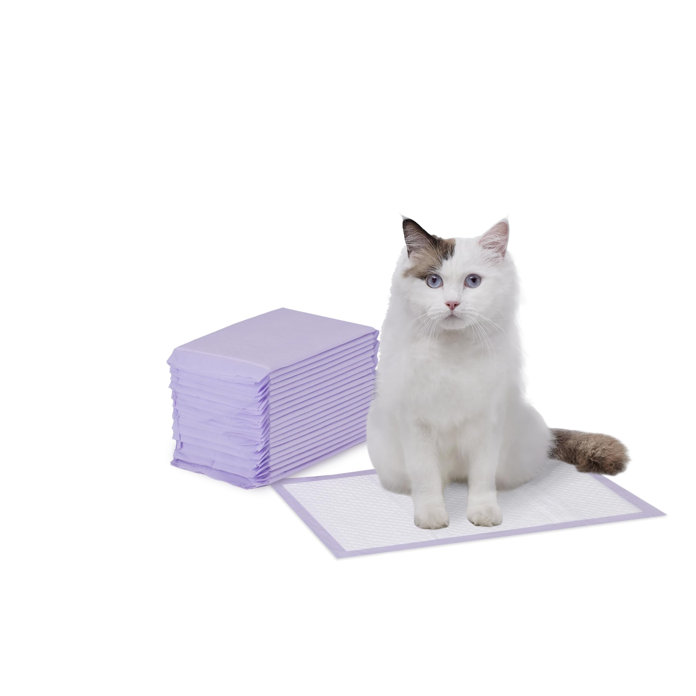 Almohadillas para caja de arena Amazon Basics, aroma a limón, desechables y absorbentes.