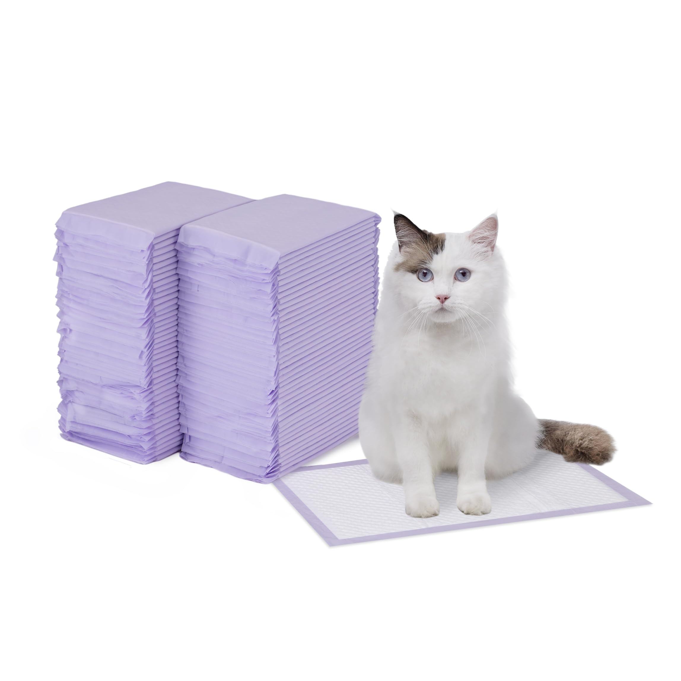 Amazon Basics almohadillas para caja de arena en presentación lista para usar