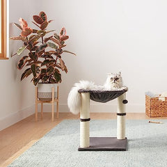 Amazon Basics bola colgante para gatos, juguete interactivo para juego y ejercicio.