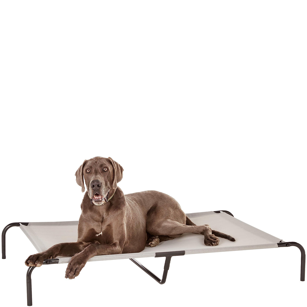 Amazon Basics cama para perro elevada con malla de aire para descanso fresco.