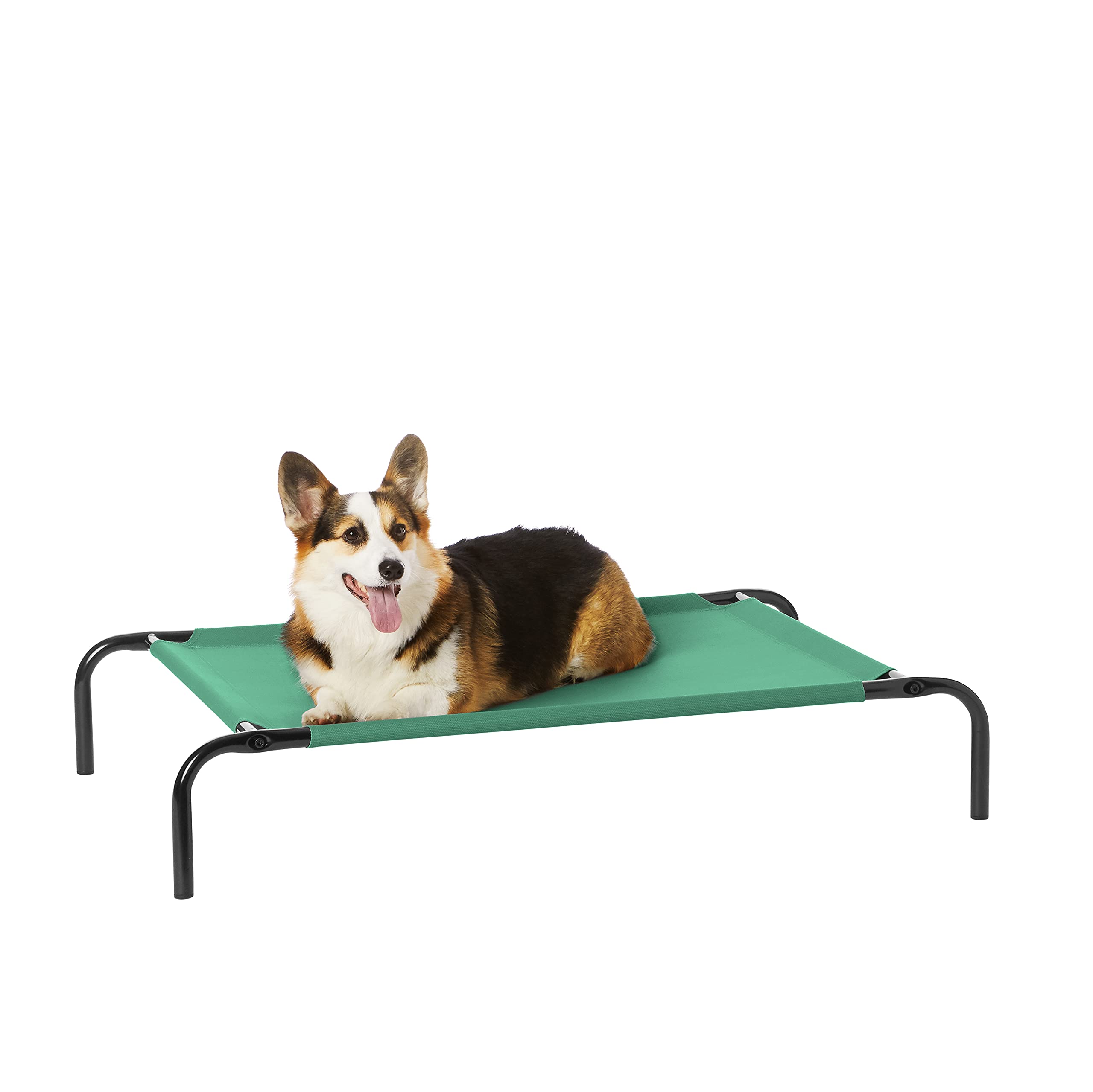 Amazon Basics cama para perros elevadas en verde con enfriamiento para mayor confort.