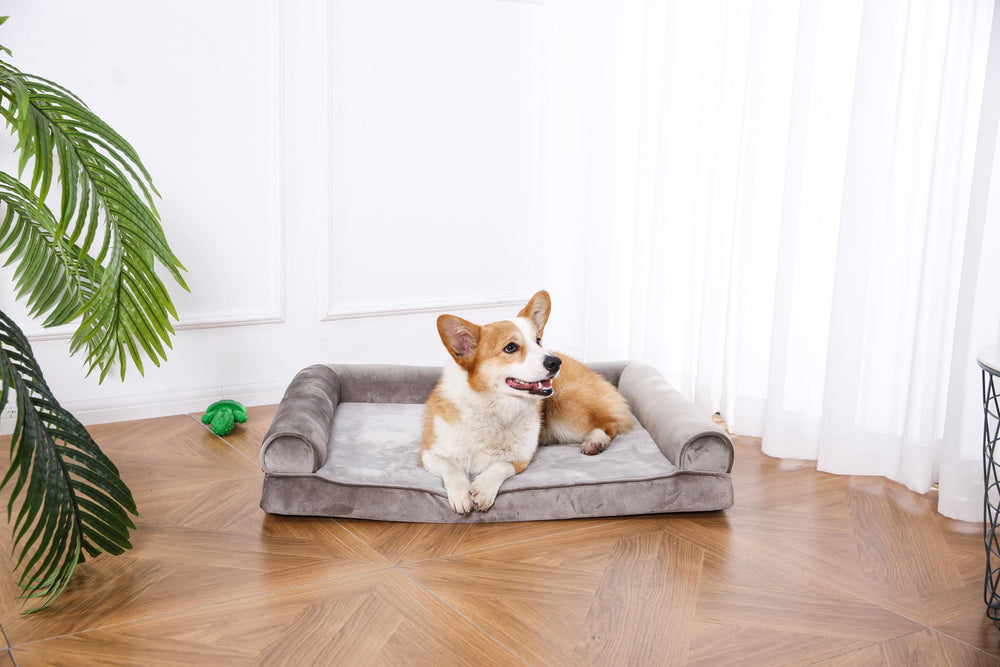 Cama grande 36x27 pulgadas para perros de tamaño medio.