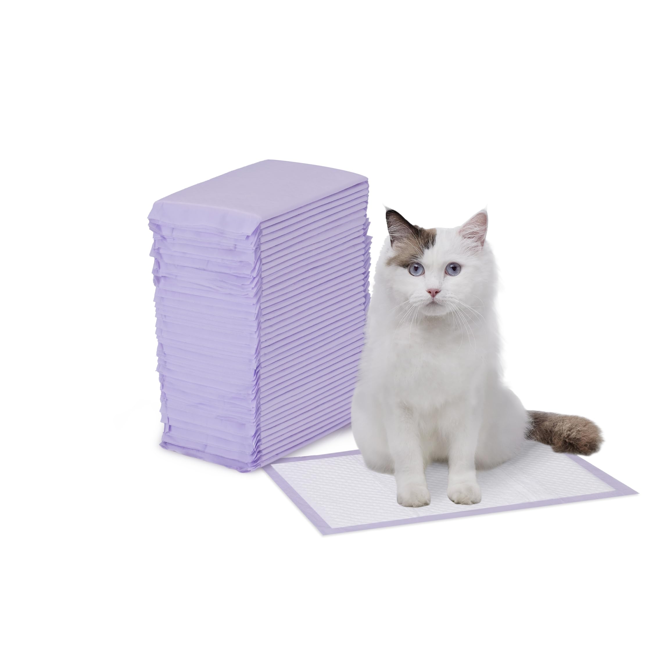 Amazon Basics Cat Litter Pads: empaque-40-unidades, ideal para areneros y limpieza rápida.