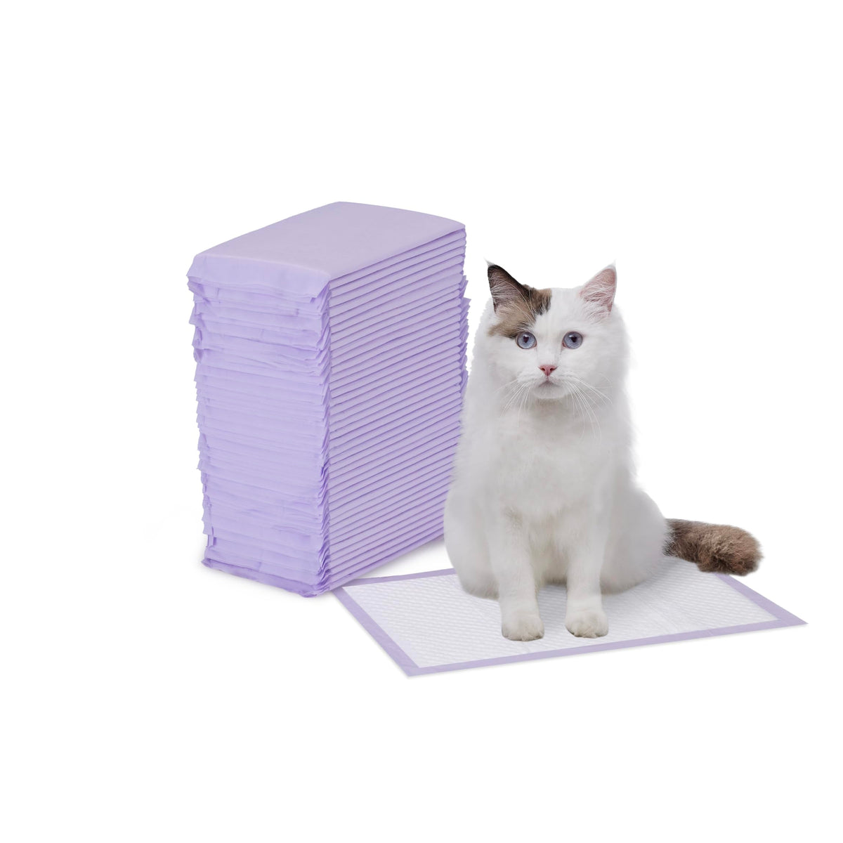 Amazon Basics Cat Litter Pads: empaque-40-unidades, ideal para areneros y limpieza rápida.