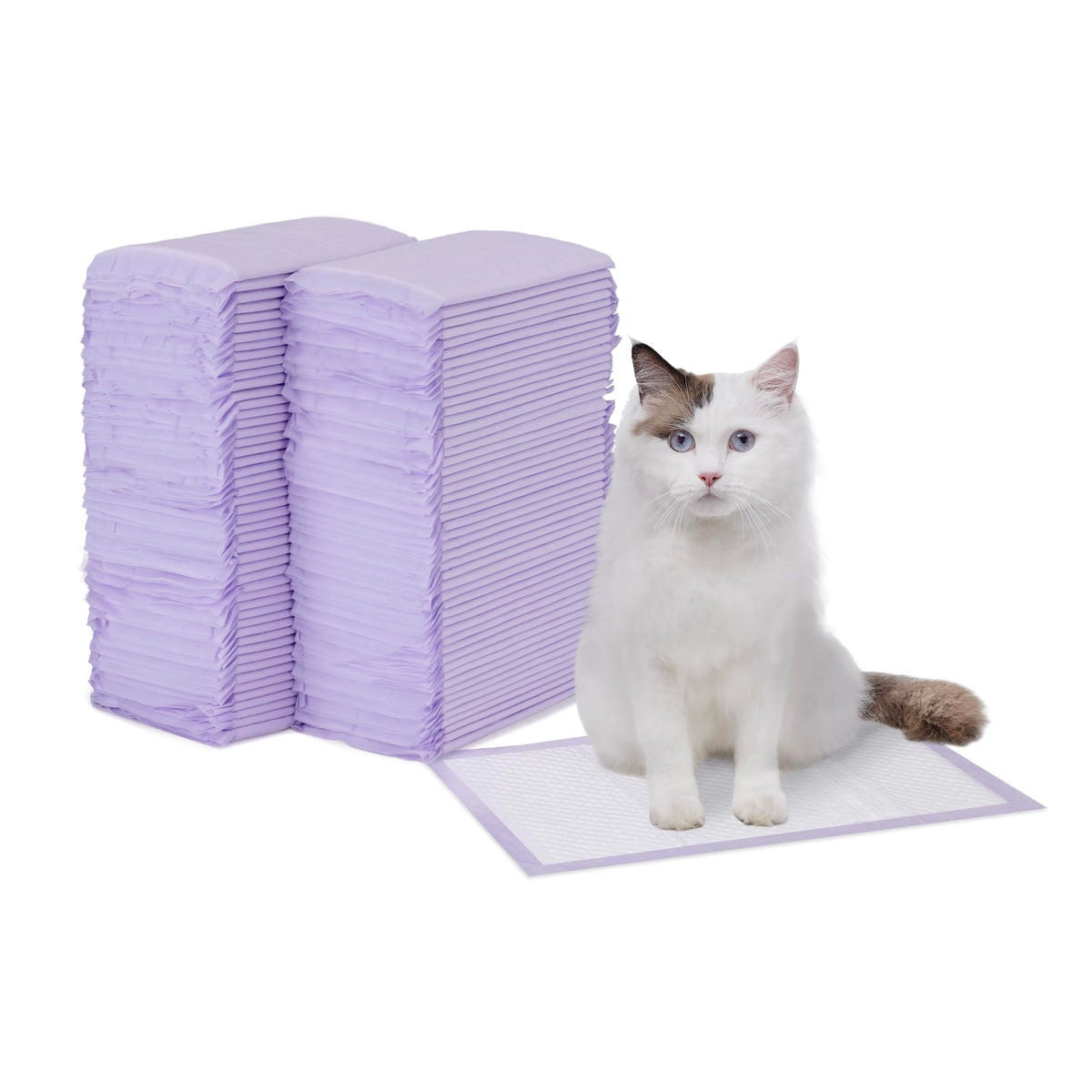 Amazon Basics cat pad refills aroma limón para caja de arena, control de olores.