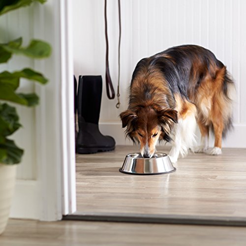 Dimensiones de 11 x 3 pulgadas, ideal para perros pequeños y medianos.