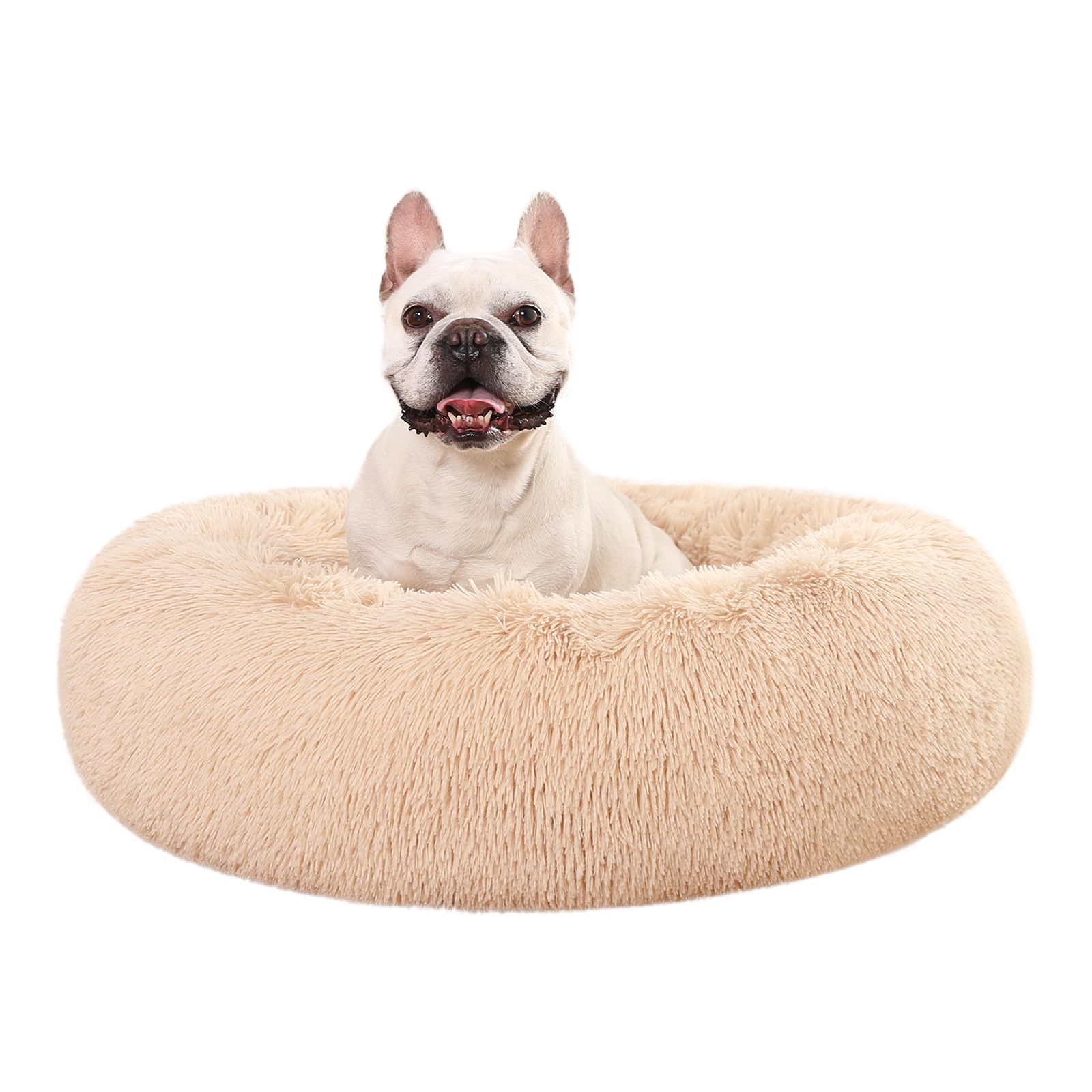 Dimensiones 91 cm por 91 cm para perros de tamaño mediano a grande.