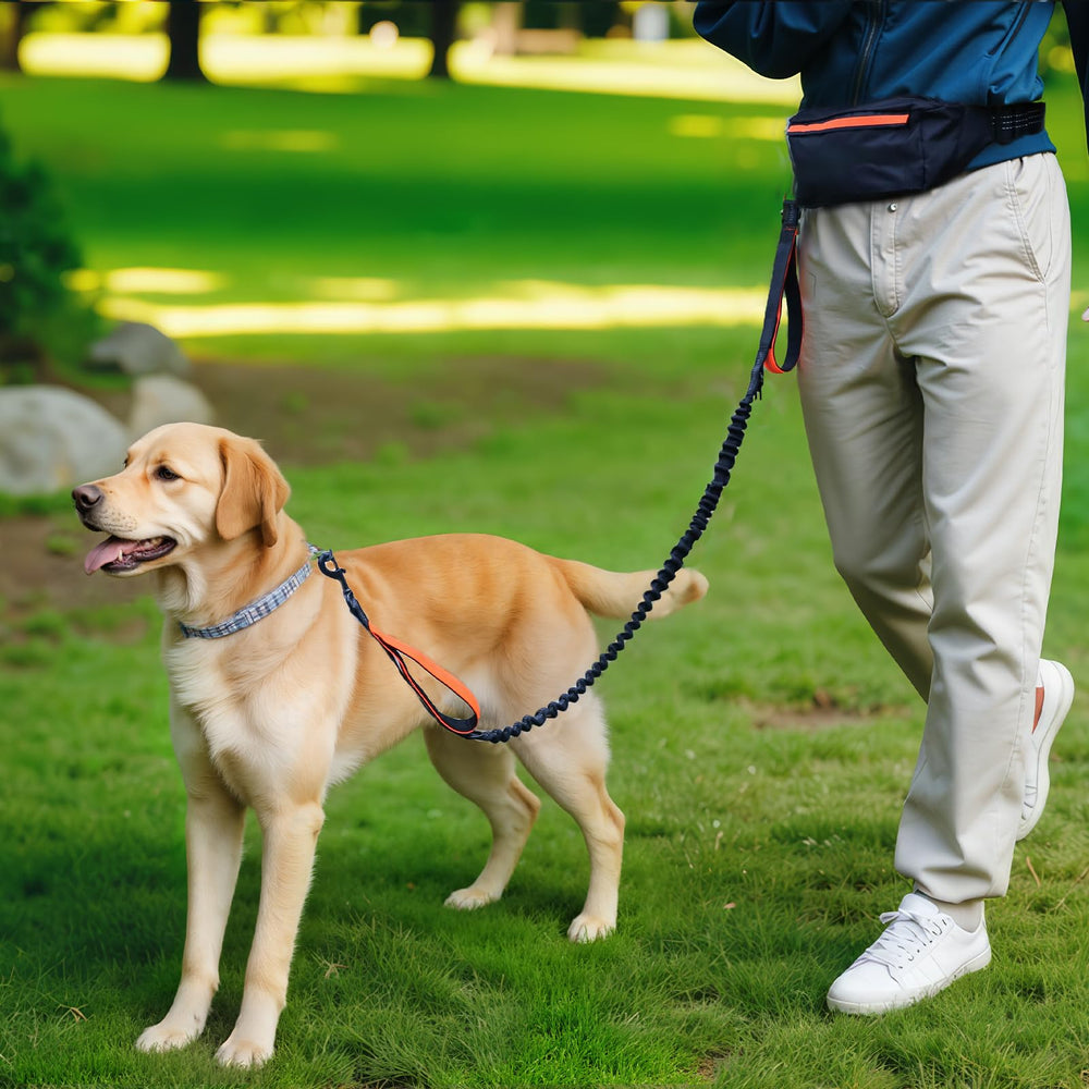 Amazon Basics diseño pensado para perros de hasta 150 libras.