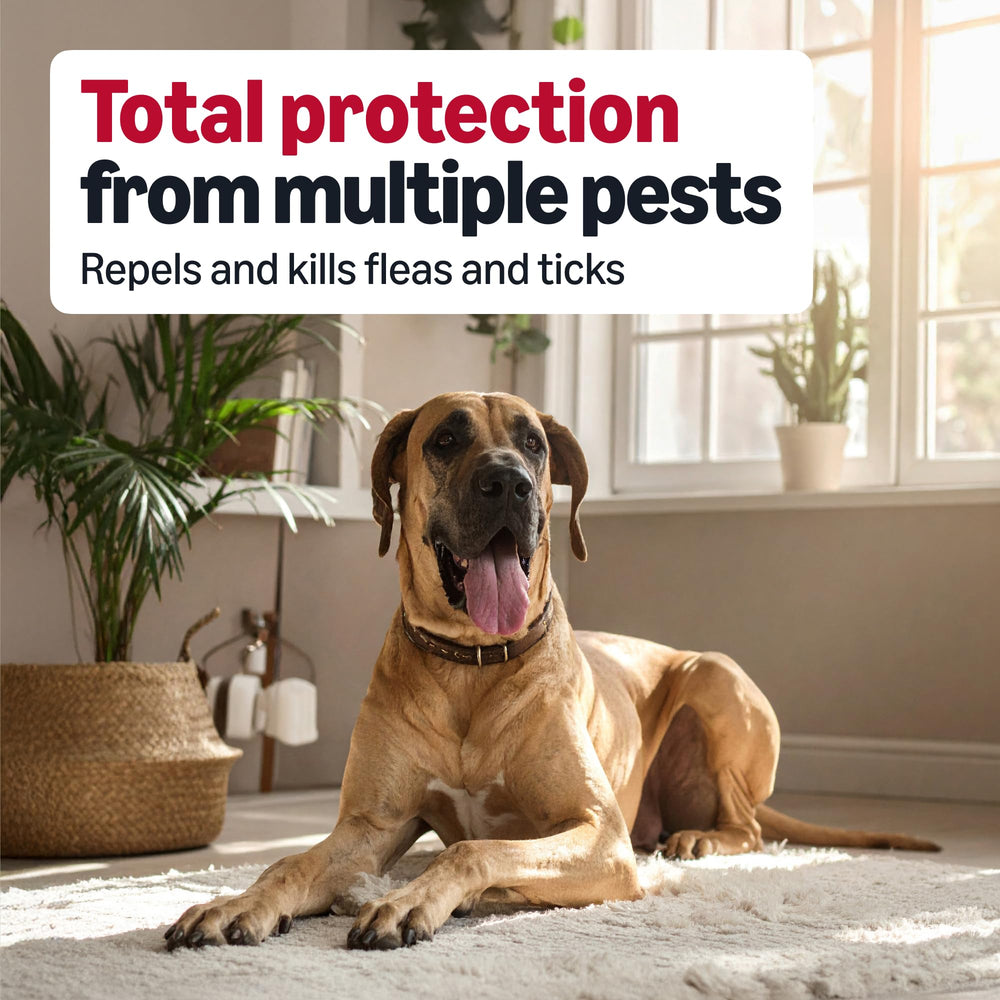 Amazon Basics fast-acting formula reduces fleas and ticks within 24 hours