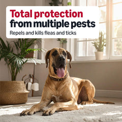 Amazon Basics fast-acting formula reduces fleas and ticks within 24 hours