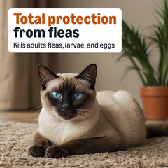 Amazon Basics fórmula dual Imidacloprid y Pyriproxyfen para pulgas adultas.