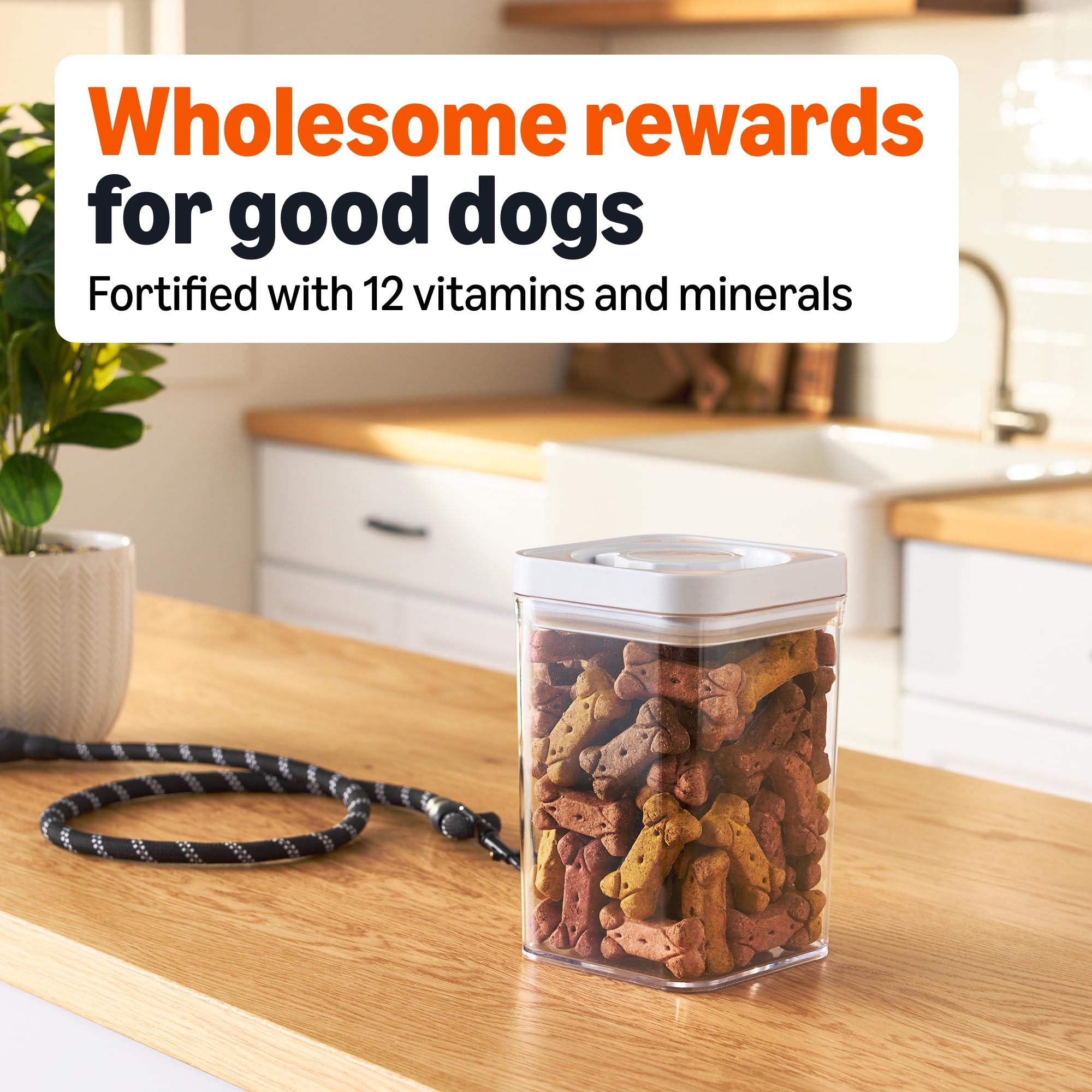 Galletas para perros crujientes con gravy, ideales para premiar.
