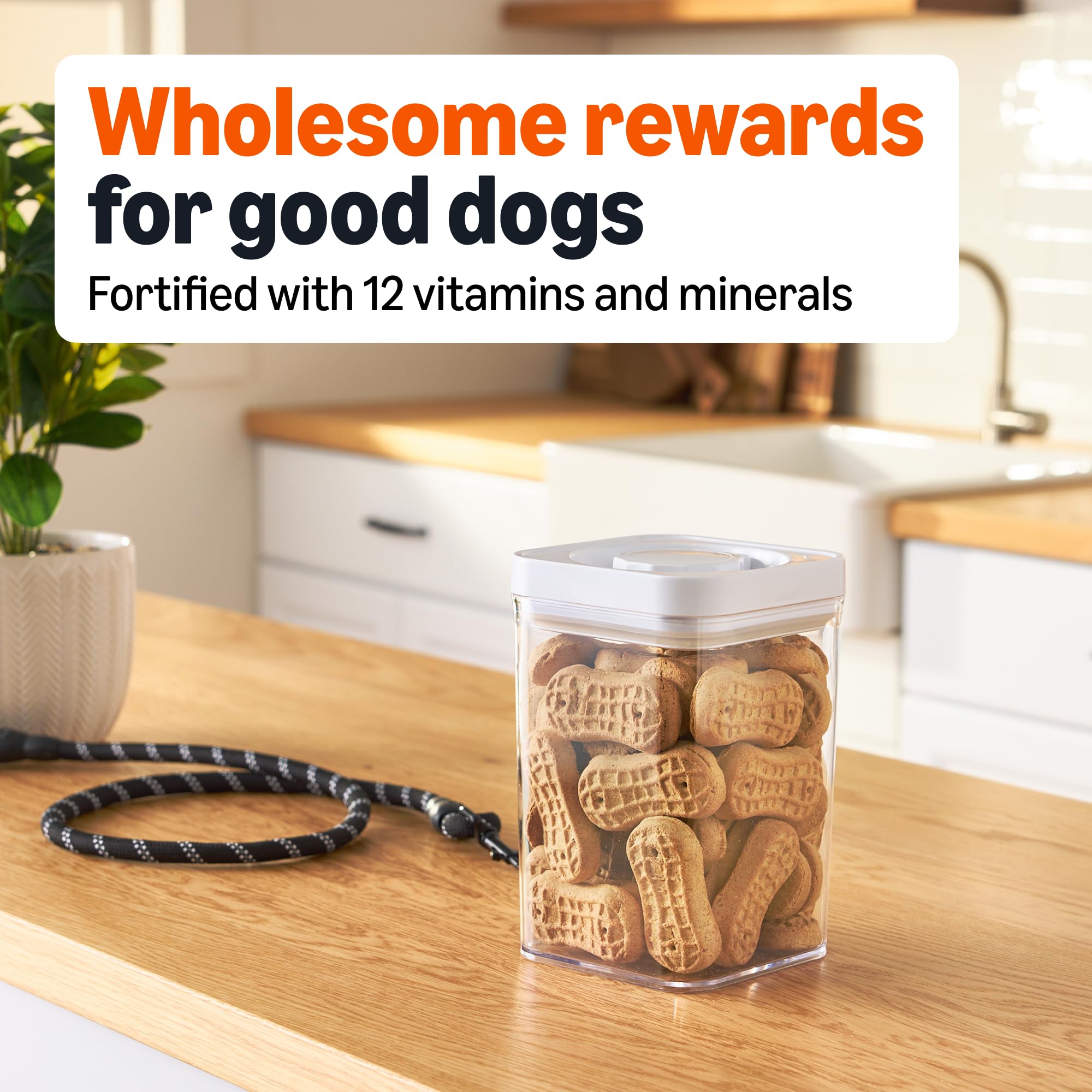 Galletas crujientes de Amazon Basics para perros, aptas para todas las razas y tamaños.