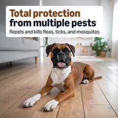 Amazon Basics ingredientes activos imidacloprid, permetrina y piriproxifen para control.