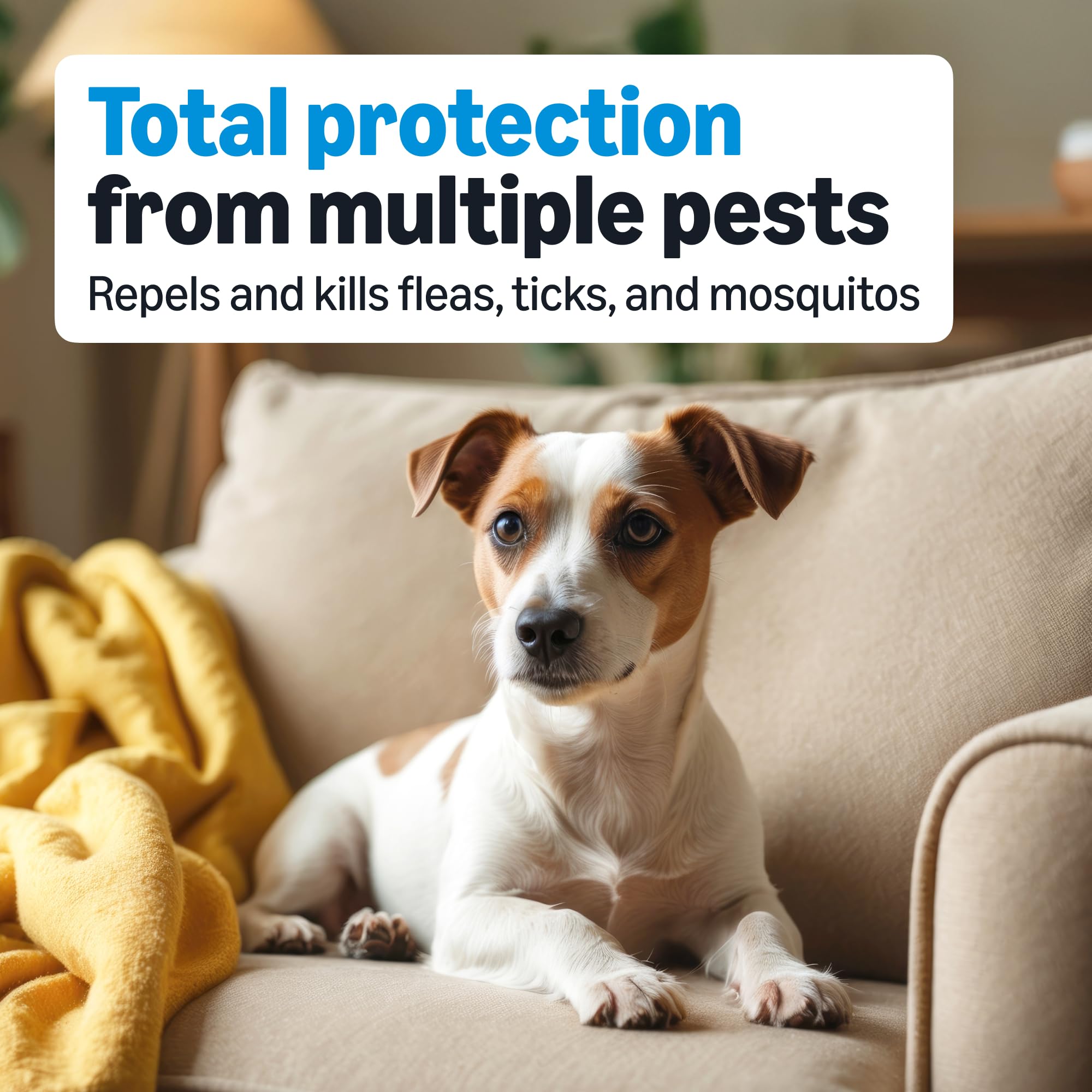 Amazon Basics: ingredientes activos para control de pulgas y mosquitos en perros.