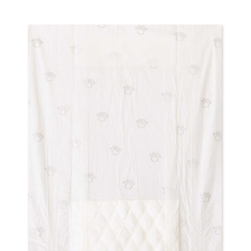 Núcleo absorbente en panales Amazon Basics para mayor absorción.